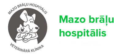 Mazo Brāļu hospitālis
